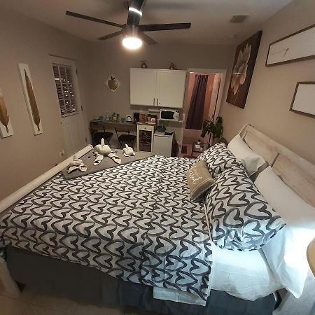 Luxurious Cozy Studio. Tampa Zewnętrze zdjęcie