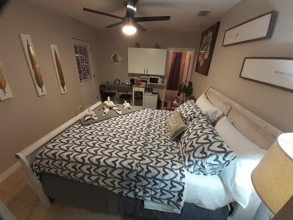 Luxurious Cozy Studio. Tampa Zewnętrze zdjęcie